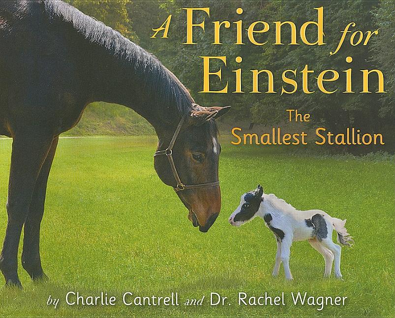 A Friend for Einstein: The Smallest Stallion
