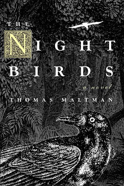 Night Birds, The