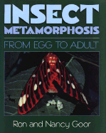 Insect Metamorphosis: From Egg to Adult