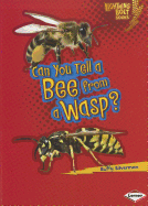 Can You Tell a Bee from a Wasp?
