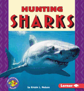 Hunting Sharks