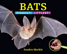 Bats: Biggest! Littlest!