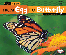 From Egg to Butterfly
