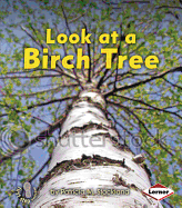 Look at a Birch Tree