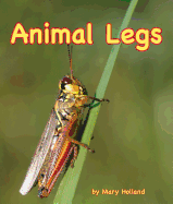 Animal Legs