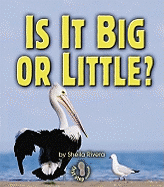 Is It Big or Little?