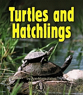 Turtles and Hatchlings