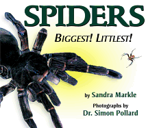 Spiders: Biggest! Littlest!