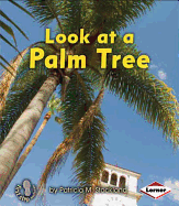 Look at a Palm Tree