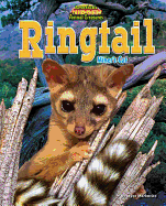 Ringtail: Miner's Cat