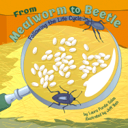 From Mealworm to Beetle: Following the Life Cycle