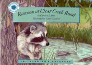 Raccoon at Clear Creek Road