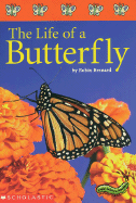 The Life of a Butterfly