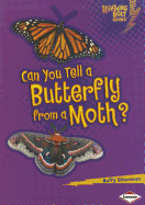 Can You Tell a Butterfly from a Moth?