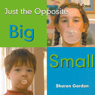 Big/Small