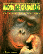 Among the Orangutans