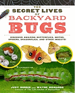 The Secret Lives of Backyard Bugs: Discover Amazing Butterflies, Moths, Spiders, Dragonflies, and Other Insects!