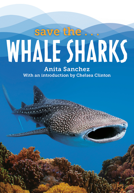 Save the... Whale Sharks