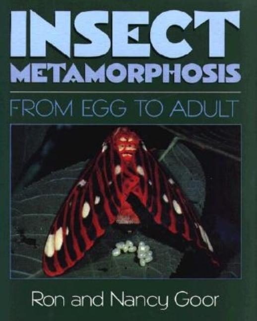 Insect Metamorphosis: From Egg to Adult