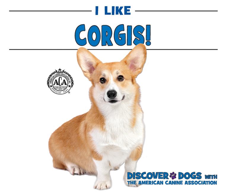 I Like Corgis!