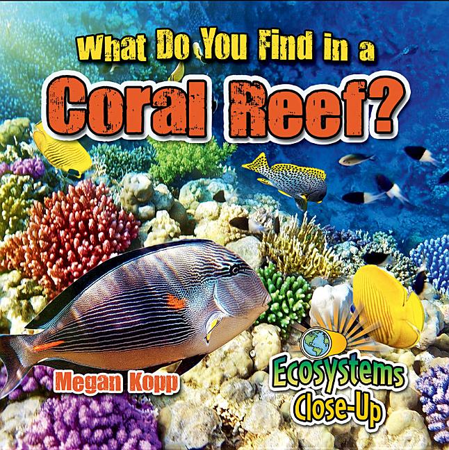 What Do You Find in a Coral Reef?
