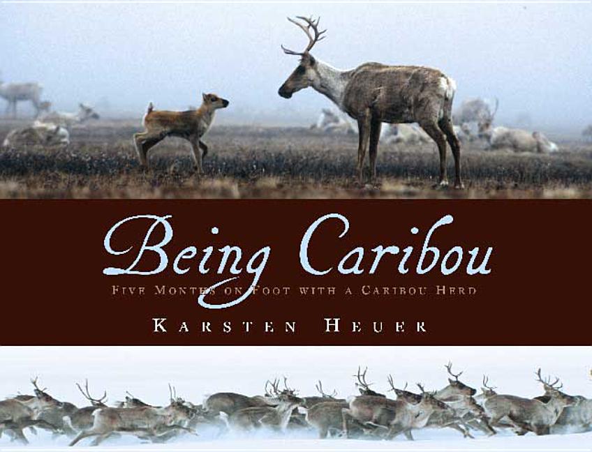 Being Caribou: Five Months on Foot with a Caribou Herd