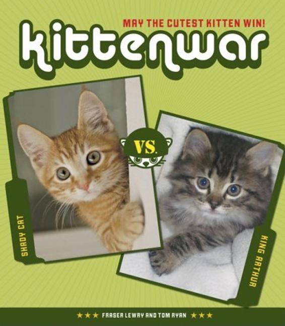 Kittenwar: May the Cutest Kitten Win!
