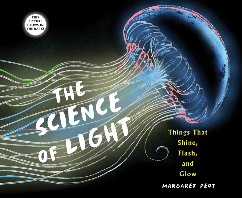 The Science of Light: Things That Shine, Flash, and Glow