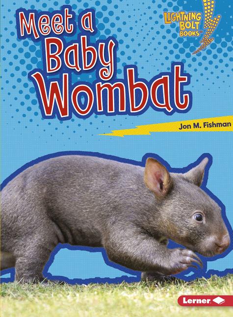Meet a Baby Wombat