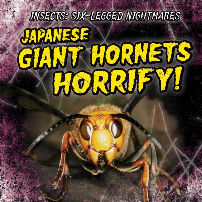 Japanese Giant Hornets Horrify!