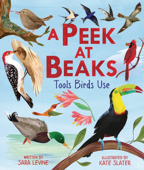 A Peek at Beaks: Tools Birds Use