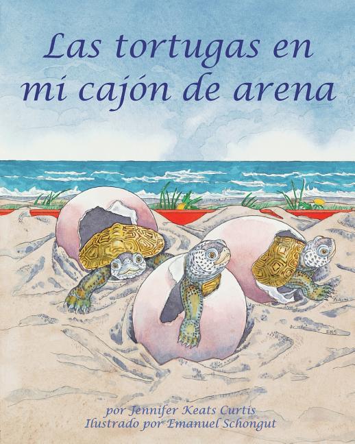 Las tortugas en mi cajon de arena