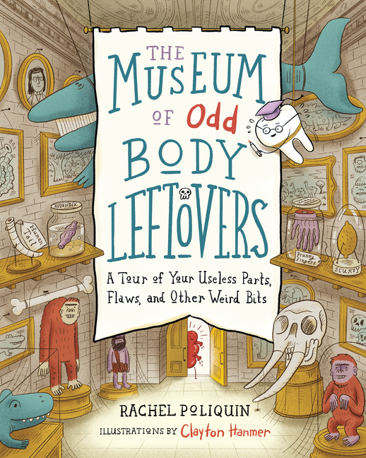 The Museum of Odd Body Leftovers