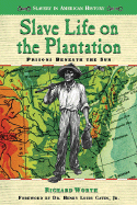 Slave Life on the Plantation: Prisons Beneath the Sun