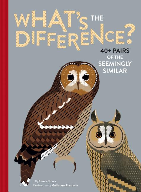 What's the Difference?: 40+ Pairs of the Seemingly Similar