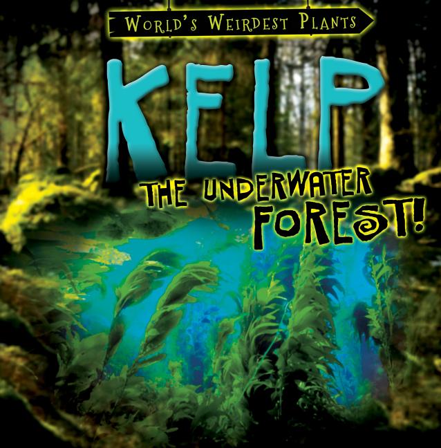 Kelp: The Underwater Forest!