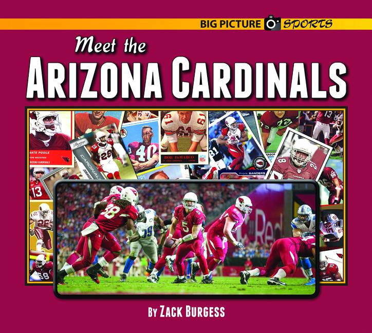 Meet the Arizona Cardinals