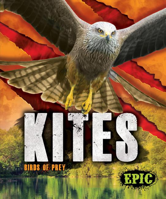 Kites: Birds of Prey