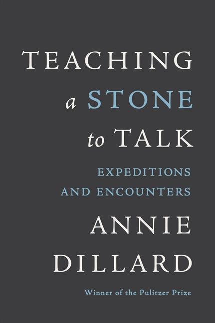 Teaching a Stone to Talk: Expeditions and Encounters