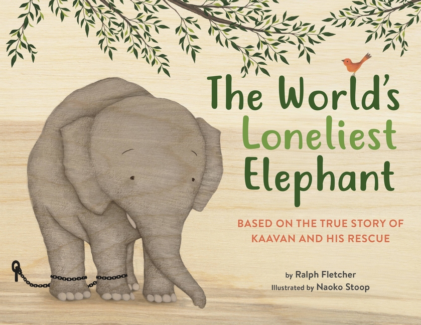 World's Loneliest Elephant, The: Based on the True Story of Kaavan and His Rescue