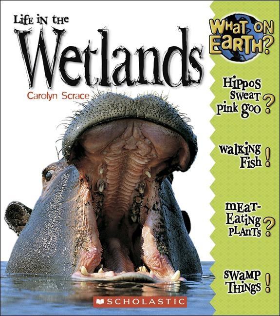 Life in the Wetlands