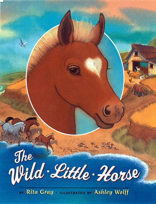 The Wild Little Horse