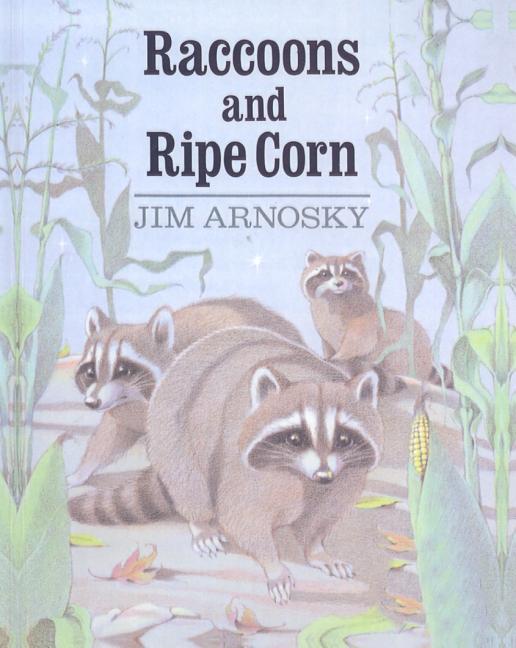 Raccoons and Ripe Corn