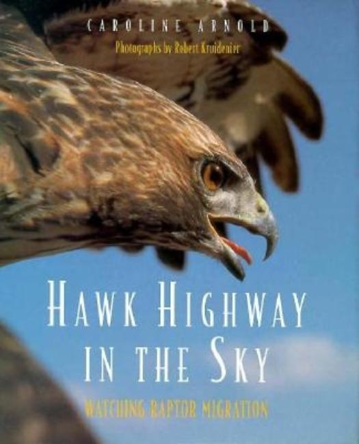 Hawk Highway in the Sky: Watching Raptor Migration