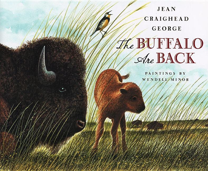 Buffalo Are Back, The