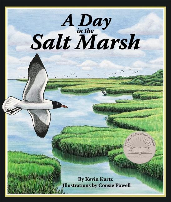 A Day in the Salt Marsh
