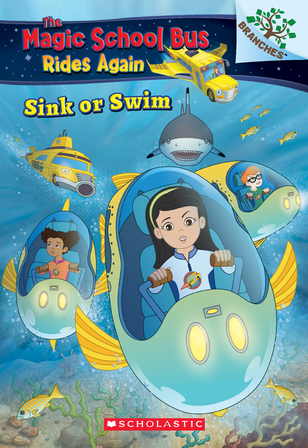 Sink or Swim: Exploring Schools of Fish
