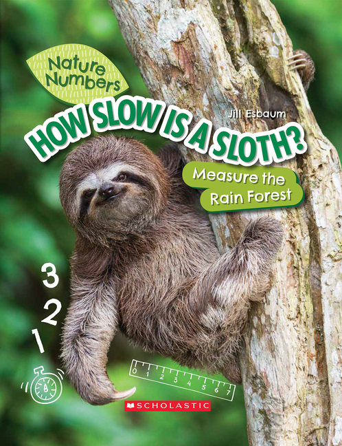 How Slow Is a Sloth?: Measure the Rainforest