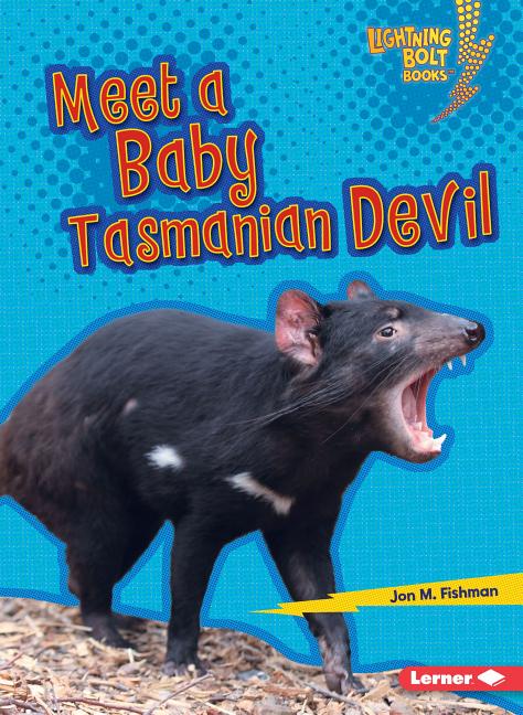Meet a Baby Tasmanian Devil