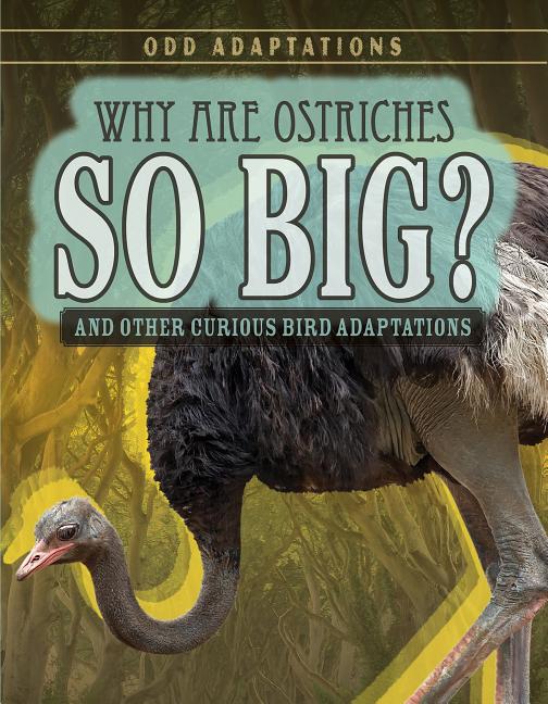 Why Are Ostriches So Big?: And Other Curious Bird Adaptations